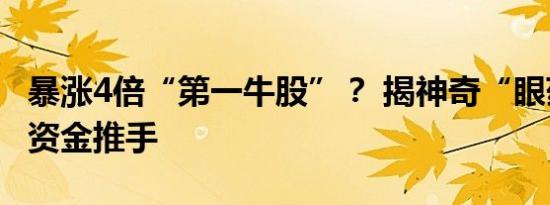 暴涨4倍“第一牛股”？ 揭神奇“眼药水”的资金推手