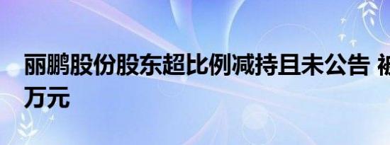 丽鹏股份股东超比例减持且未公告 被罚款70万元