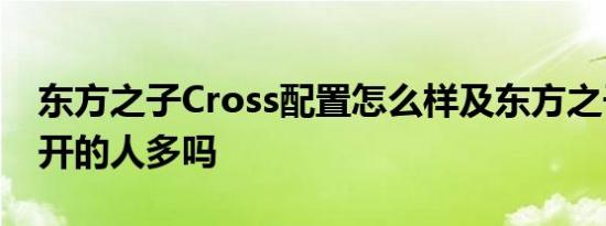 东方之子Cross配置怎么样及东方之子Cross开的人多吗