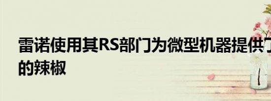 雷诺使用其RS部门为微型机器提供了大剂量的辣椒