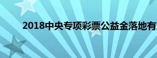 2018中央专项彩票公益金落地有声