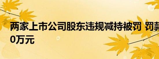 两家上市公司股东违规减持被罚 罚款总计190万元