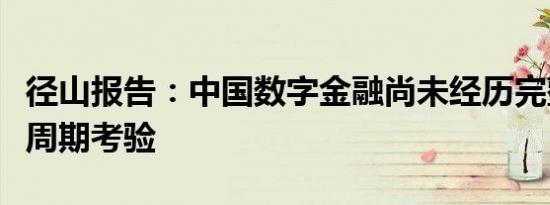 径山报告：中国数字金融尚未经历完整的金融周期考验