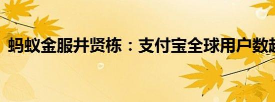 蚂蚁金服井贤栋：支付宝全球用户数超12亿