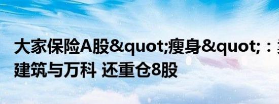 大家保险A股"瘦身"：卖了中国建筑与万科 还重仓8股