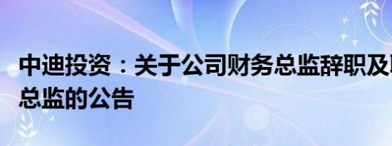 中迪投资：关于公司财务总监辞职及聘请财务总监的公告