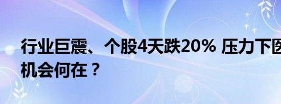 行业巨震、个股4天跌20% 压力下医药板块机会何在？