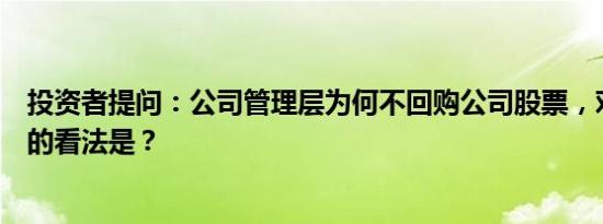 投资者提问：公司管理层为何不回购公司股票，对公司前景的看法是？