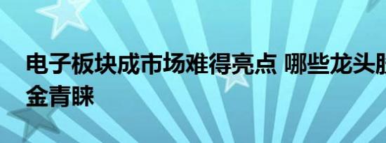 电子板块成市场难得亮点 哪些龙头股更受资金青睐