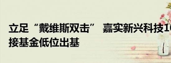 立足“戴维斯双击” 嘉实新兴科技100ETF联接基金低位出基