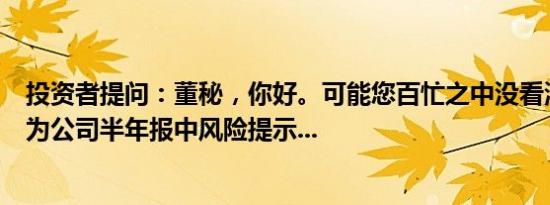 投资者提问：董秘，你好。可能您百忙之中没看清提问。因为公司半年报中风险提示...