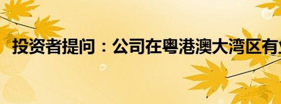 投资者提问：公司在粤港澳大湾区有业务？