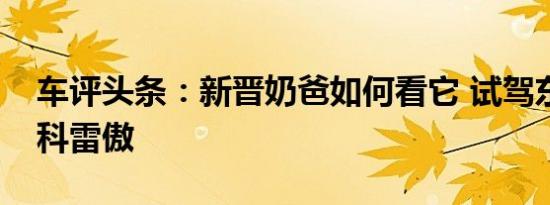 车评头条：新晋奶爸如何看它 试驾东风雷诺科雷傲