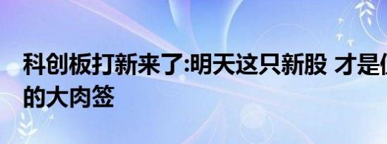 科创板打新来了:明天这只新股 才是值得期待的大肉签