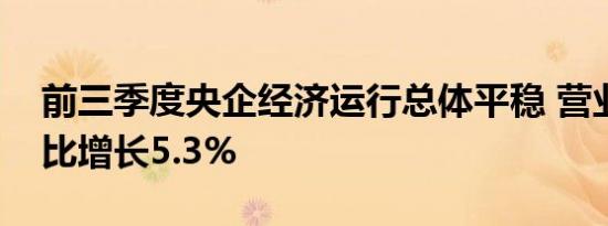 前三季度央企经济运行总体平稳 营业收入同比增长5.3%