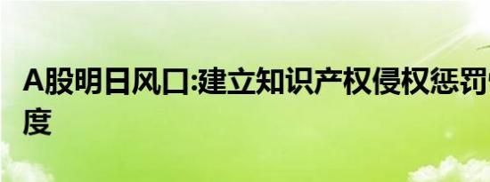 A股明日风口:建立知识产权侵权惩罚性赔偿制度