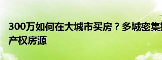 300万如何在大城市买房？多城密集推出共有产权房源