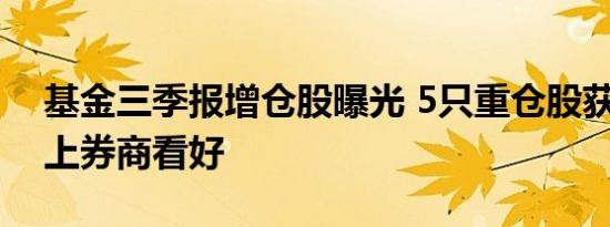 基金三季报增仓股曝光 5只重仓股获20家以上券商看好