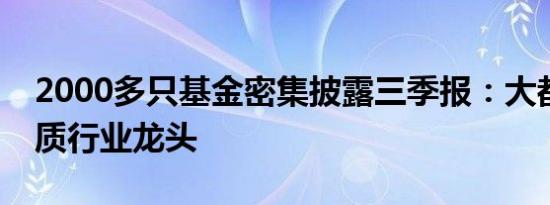 2000多只基金密集披露三季报：大都看好优质行业龙头