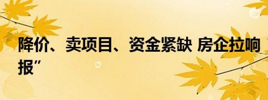 降价、卖项目、资金紧缺 房企拉响“债务警报”