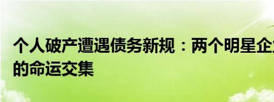 个人破产遭遇债务新规：两个明星企业家妻子的命运交集