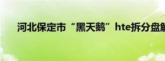 河北保定市“黑天鹅”hte拆分盘解析