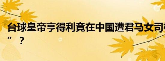 台球皇帝亨得利竟在中国遭君马女司机“索吻”？