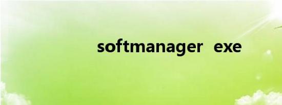 softmanager  exe