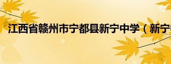 江西省赣州市宁都县新宁中学（新宁中学）