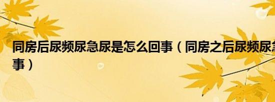 同房后尿频尿急尿是怎么回事（同房之后尿频尿急是怎么回事）