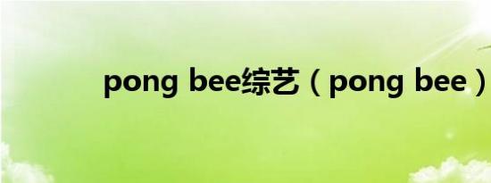 pong bee综艺（pong bee）