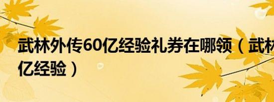 武林外传60亿经验礼券在哪领（武林外传60亿经验）