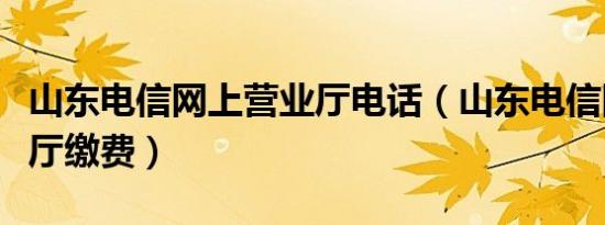 山东电信网上营业厅电话（山东电信网上营业厅缴费）