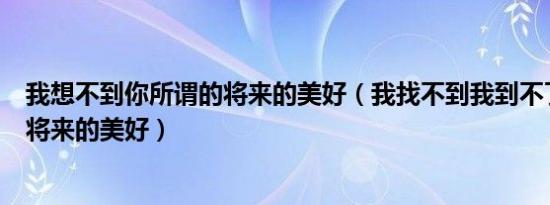 我想不到你所谓的将来的美好（我找不到我到不了你所谓的将来的美好）