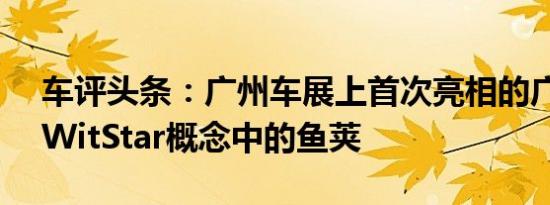 车评头条：广州车展上首次亮相的广州汽车WitStar概念中的鱼荚