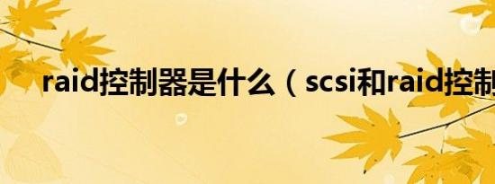 raid控制器是什么（scsi和raid控制器）