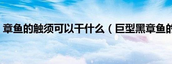 章鱼的触须可以干什么（巨型黑章鱼的触须）