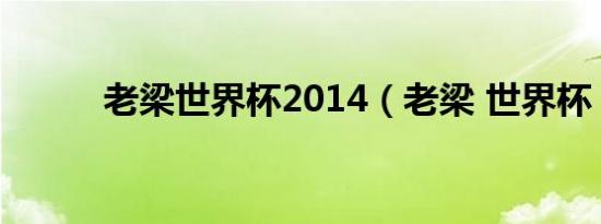 老梁世界杯2014（老梁 世界杯）