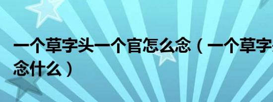 一个草字头一个官怎么念（一个草字头一个官念什么）