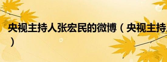 央视主持人张宏民的微博（央视主持人张宏民）