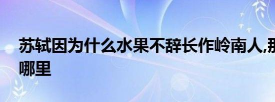 苏轼因为什么水果不辞长作岭南人,那岭南是哪里