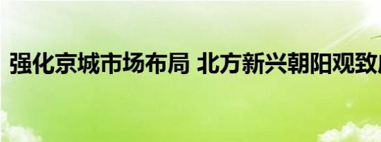 强化京城市场布局 北方新兴朝阳观致店开业