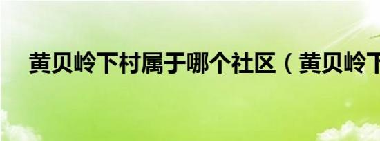 黄贝岭下村属于哪个社区（黄贝岭下村）