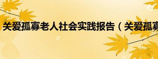 关爱孤寡老人社会实践报告（关爱孤寡老人）