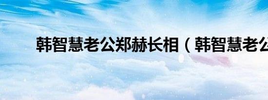 韩智慧老公郑赫长相（韩智慧老公）