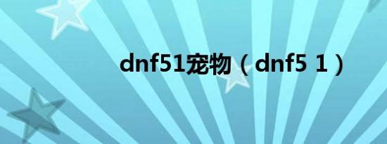 dnf51宠物（dnf5 1）