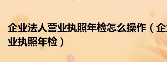 企业法人营业执照年检怎么操作（企业法人营业执照年检）