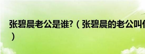 张碧晨老公是谁?（张碧晨的老公叫什么名字）