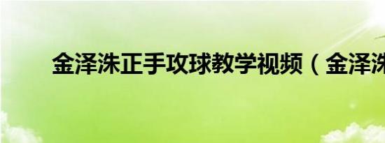 金泽洙正手攻球教学视频（金泽洙）