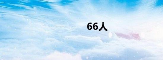 66人